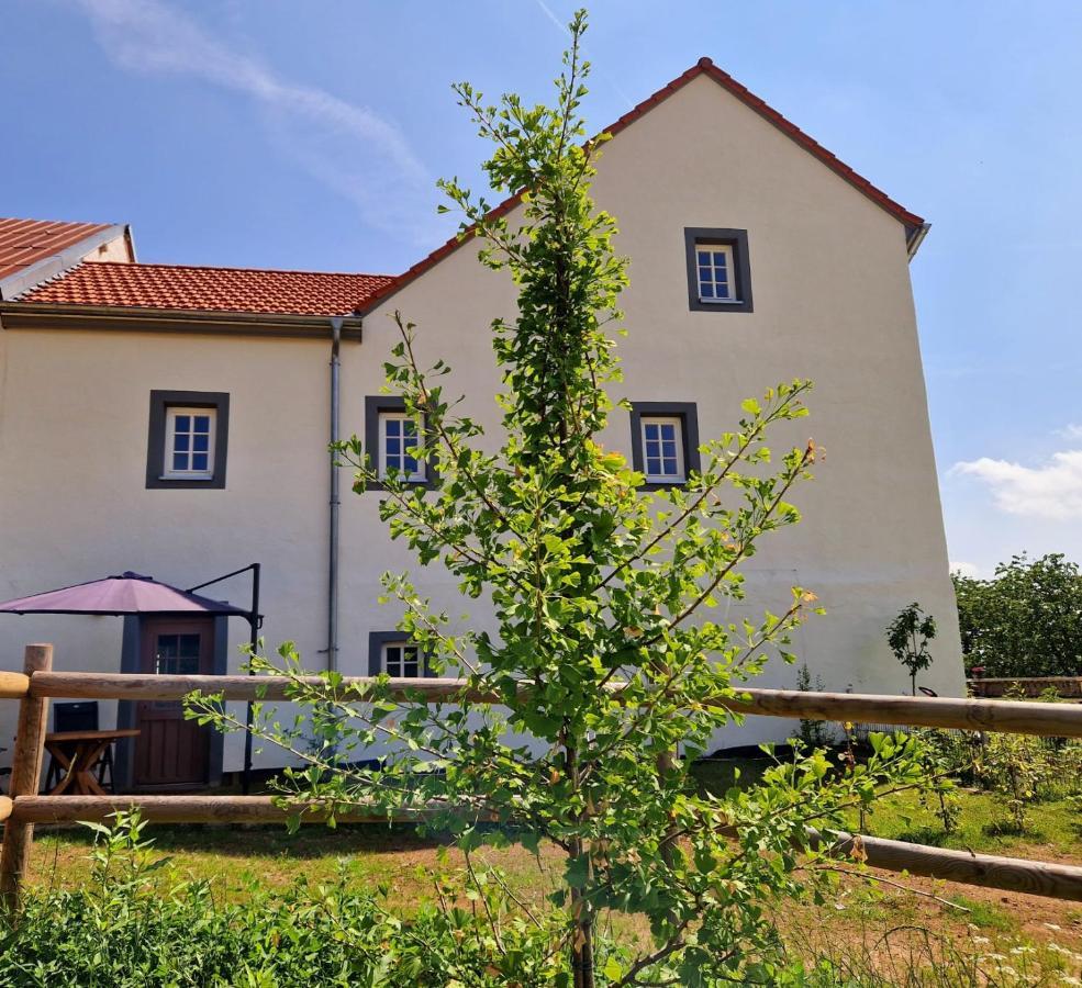 Ferienhaus "Entenhaus" Im Gutshaus De La Fontaine Feilsdorf Zewnętrze zdjęcie
